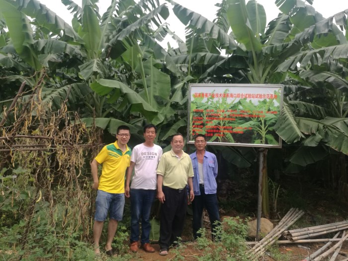 在福山基地指导香蕉种植_副本.jpg